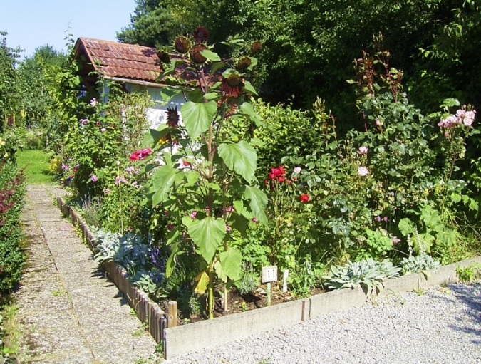 Nächstes Bild