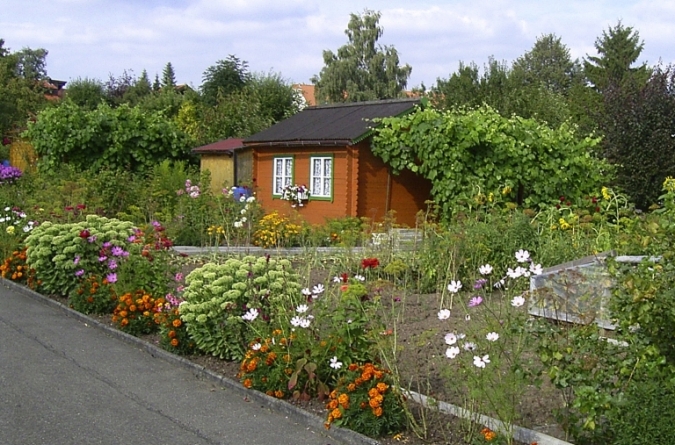 Nächstes Bild
