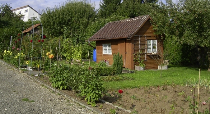 Nächstes Bild