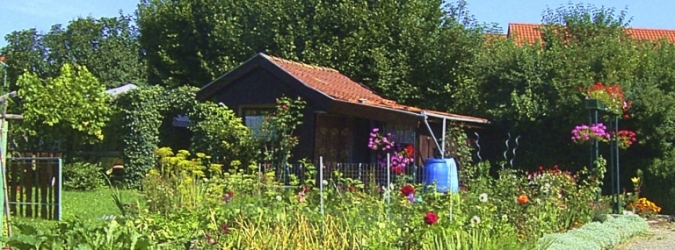 Nächstes Bild