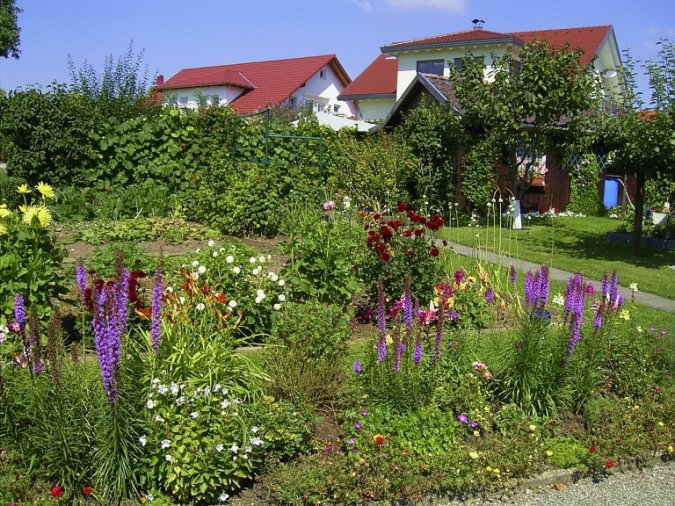 Nächstes Bild