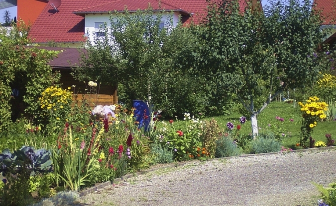 Nächstes Bild