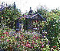 Garten-02.jpg