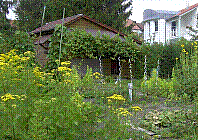 Garten-05.jpg