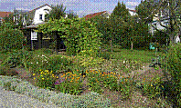 Garten-06.jpg