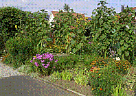 Garten-09.jpg