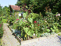 Garten-11.jpg