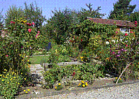 Garten-12.jpg
