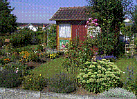 Garten-13.jpg