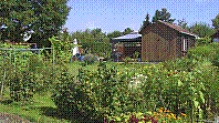 Garten-14.jpg