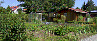 Garten-15.jpg