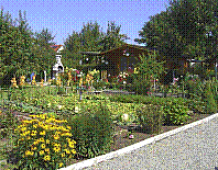 Garten-16.jpg