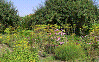 Garten-17.jpg