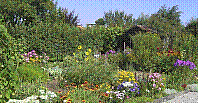 Garten-18.jpg