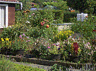 Garten-20.jpg