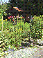Garten-22.jpg