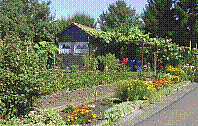 Garten-23.jpg