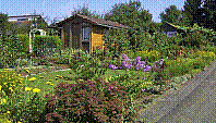 Garten-24.jpg
