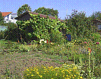 Garten-25.jpg