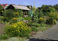 Garten-26.jpg