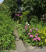 Garten-27.jpg