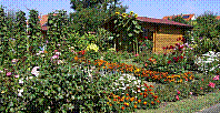 Garten-28.jpg