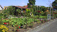 Garten-29.jpg