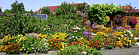 Garten-30.jpg