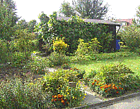 Garten-31B.jpg