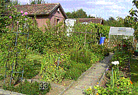 Garten-33.jpg