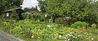 Garten-35.jpg