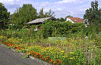 Garten-36.jpg