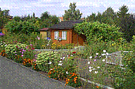 Garten-38.jpg