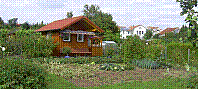 Garten-39.jpg
