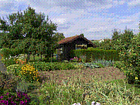 Garten-40.jpg