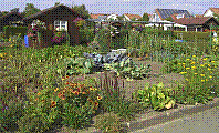 Garten-41.jpg