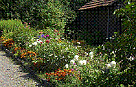 Garten-42.jpg