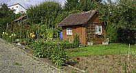 Garten-43.jpg