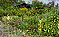 Garten-44.jpg