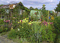 Garten-45.jpg