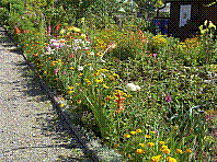Garten-46.jpg