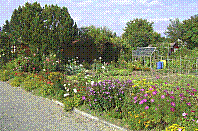 Garten-47.jpg