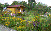 Garten-48.jpg