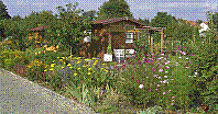 Garten-49.jpg