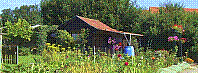 Garten-51.jpg