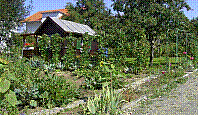 Garten-53.jpg