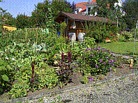 Garten-54.jpg