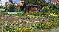 Garten-56.jpg