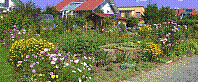 Garten-57.jpg