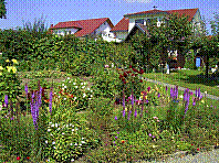 Garten-59.jpg